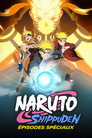 Affiche de Épisodes spéciaux