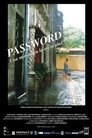 Password: Una mirada en la oscuridad