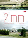 2mm