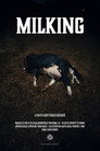 Milking