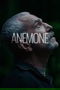 Anemone poster