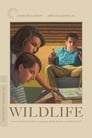 Poster for Wildlife