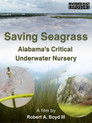 Saving Seagrass: Alabama's Critical Underwater Nursery