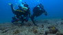 Legend of the Adriatic