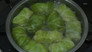 Cabbage Rolls
