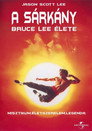 (HD). A Sárkány - Bruce Lee élete Teljes Film Magyarul (1993) Ingyen Online