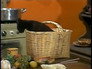 Image Chaves
