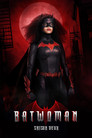 Affiche de Saison 2