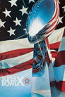 Super Bowl X