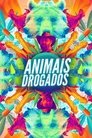 Animais Drogados