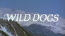 Wild Dogs