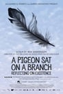 Poster van A pigeon sat on a branch reflecting on existence