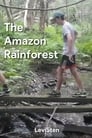 The Amazon Rainforest