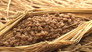 NATTO