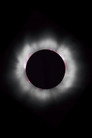 CORONAL LOOPS