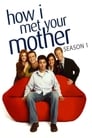 How I Met Your Mother