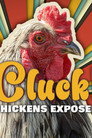 Cluck! Chickens Exposed