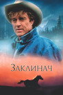 Заклинач коней