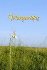 Margaridas.