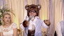 Two Weddings, A Bear and No Funeral