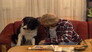 Vokt Dem for hunden