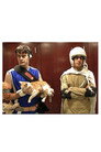 Laser Cats!
