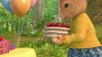 The Tale of Cottontail's Cake