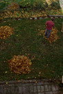 Backyard on Saint Rose