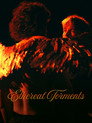 Ethereal Torments