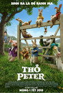 Thỏ Peter