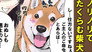 Surprise! / Setsubun / Fetch: Shibas
