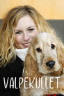 Plakat for 'Valpekullet'