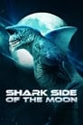 Shark Side Of The Moon Gratis På Nätet Streama Film 2022 Online Sverige