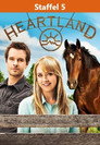 Staffel 5