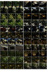 Interactions 29: Views 2, Athens