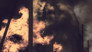 The Liberation of Paris