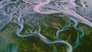 Patterns in Nature