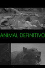 Animal Definitivo