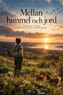 Mellan himmel och jord