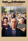 Curb Your Enthusiasm - seizoen 5