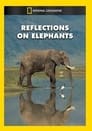 Reflections on Elephants