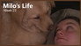 Spoiled Grandchild | Week 23