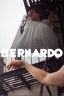 BERNARDO