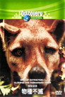 (HD). The End Of Extinction: Cloning The Tasmanian Tiger Teljes Film Magyarul (2002) Ingyen Online