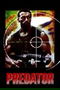 Predator poster