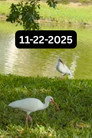 11-22-2025