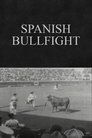 Spanish Bullfight