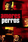 Movie poster for Amores Perros