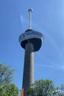 Rotterdam in Beeld
