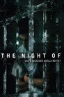 The Night of - Cosa è successo quella notte?